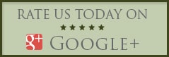 Rep-Google-Button