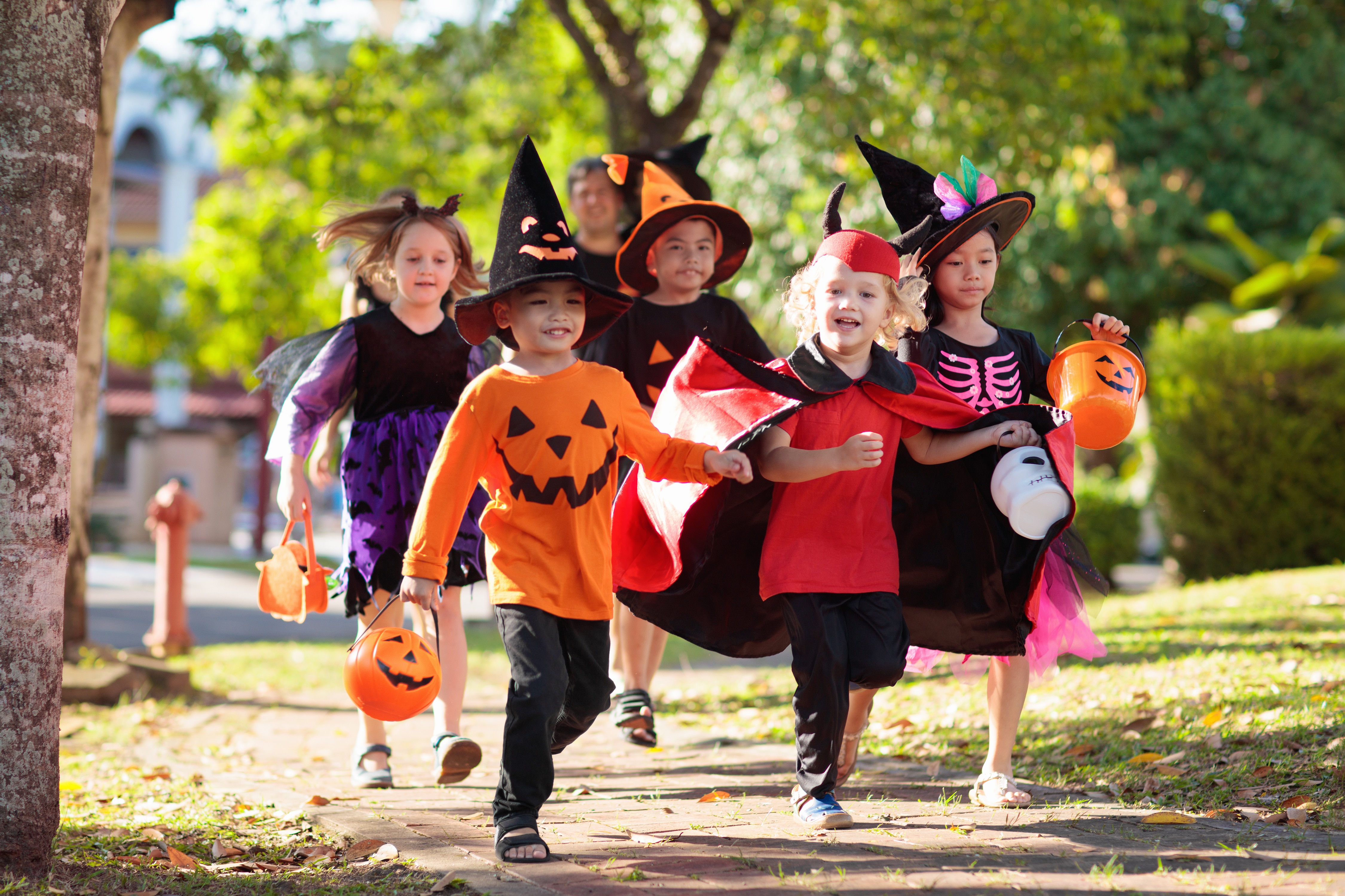 Halloween kids. Хэллоуин для детей. Хэллоуин дети в костюмах на улице. Дети в костюмах на Хэллоуин просят конфеты. Дети ходят по домам на Хэллоуин.