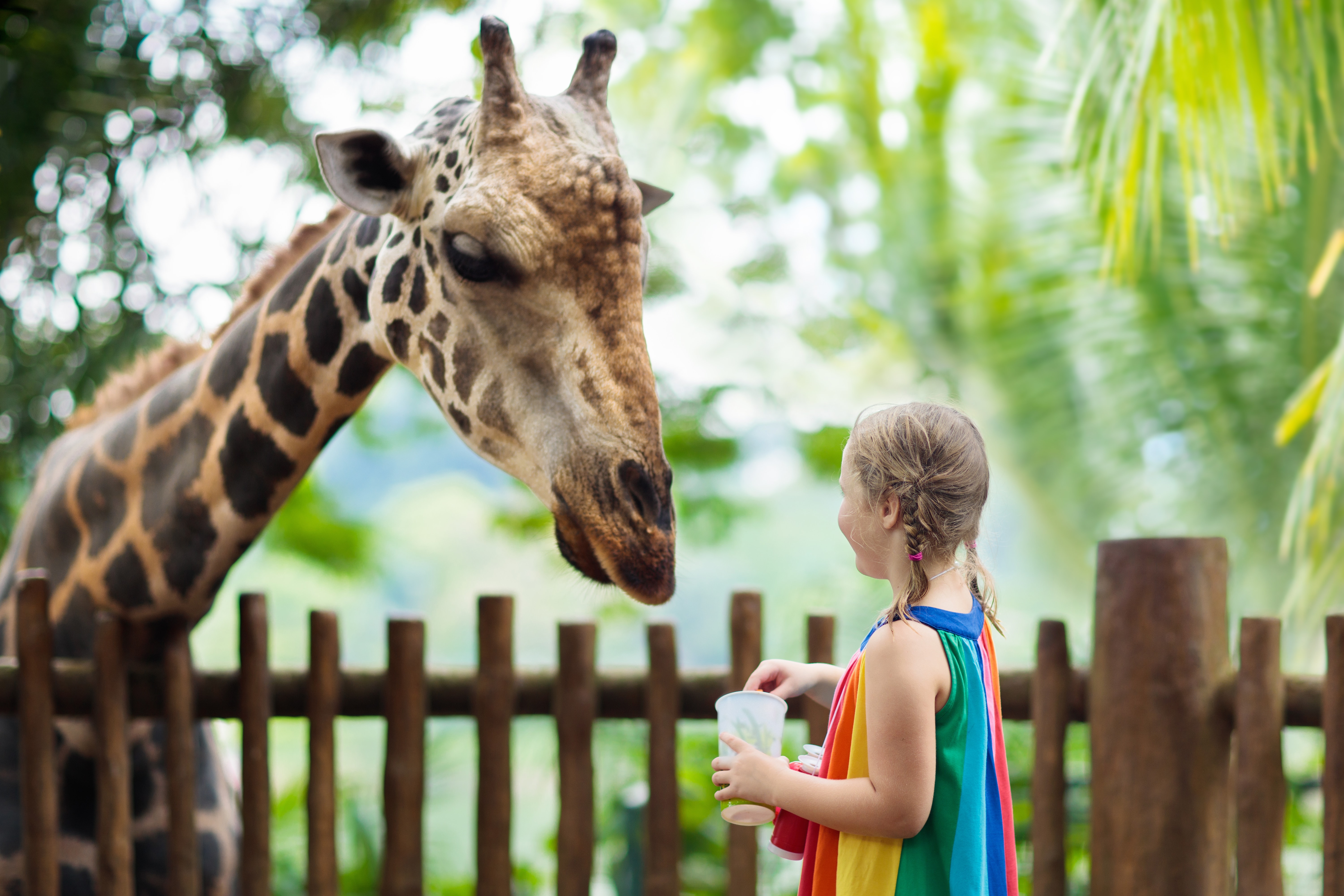 Children s zoo. Сафари-парк зоопарка Сан-Диего. Дети в зоопарке. Малыши в зоопарке. Девочка в зоопарке.